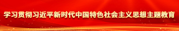 日屄视屏学习贯彻习近平新时代中国特色社会主义思想主题教育